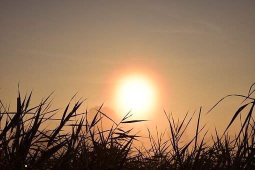 Profilbild von Reiner Abbenseth